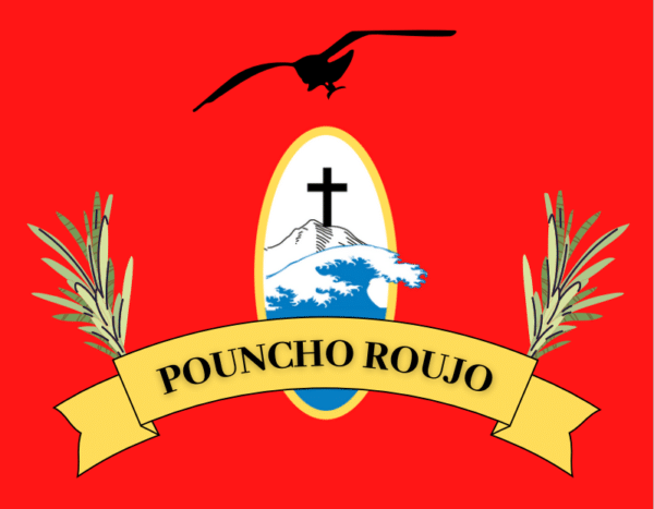 DRAPEAU-POUNCHO-2021