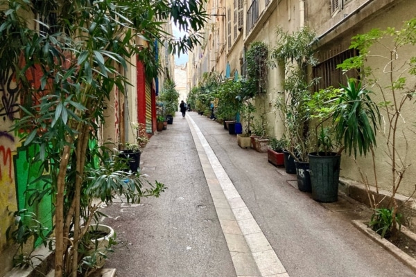 , La rue d&rsquo;Aubagne, nervure centrale de la v&eacute;g&eacute;talisation de Noailles, Made in Marseille