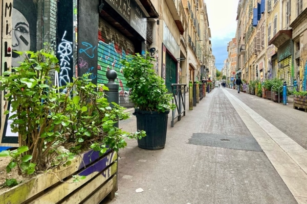 Végétalisation de Noailles 2022_2