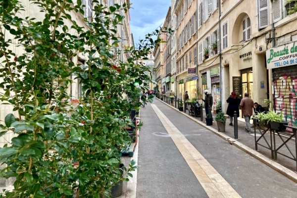 Végétalisation de Noailles 2022_3