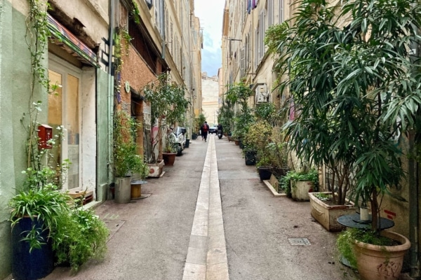 Végétalisation de Noailles 2022_5