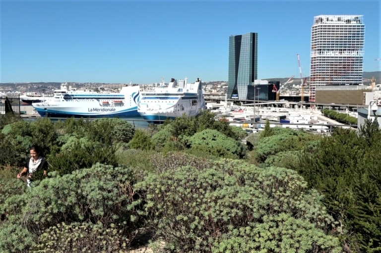 Des poissons pour faire pousser un potager urbain sur les Terrasses du Port