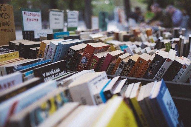 Amélie Nothomb ouvre le festival du livre de Marseille