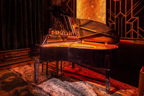 groupie-du-pianiste-piano-bar-5