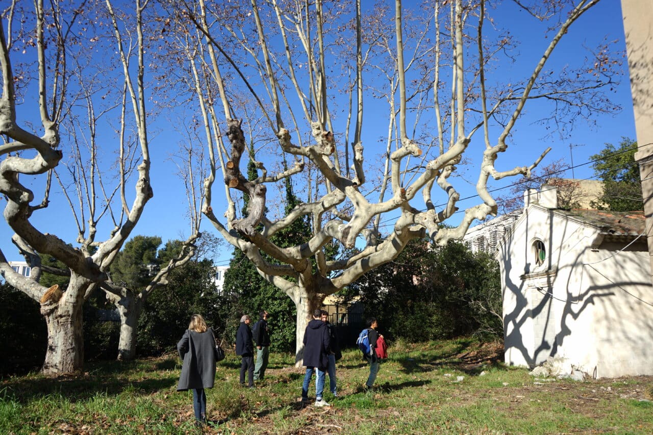 sant&eacute;, Des jeunes m&eacute;decins relancent une offre de sant&eacute; dans une bastide des quartiers Nord, Made in Marseille