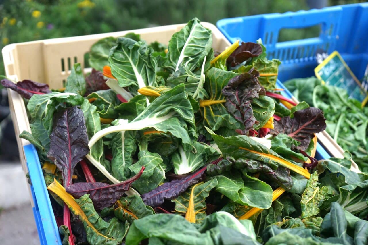 La Viste, Au march&eacute; solidaire de la Viste, les paysans bio r&eacute;galent les quartiers Nord, Made in Marseille