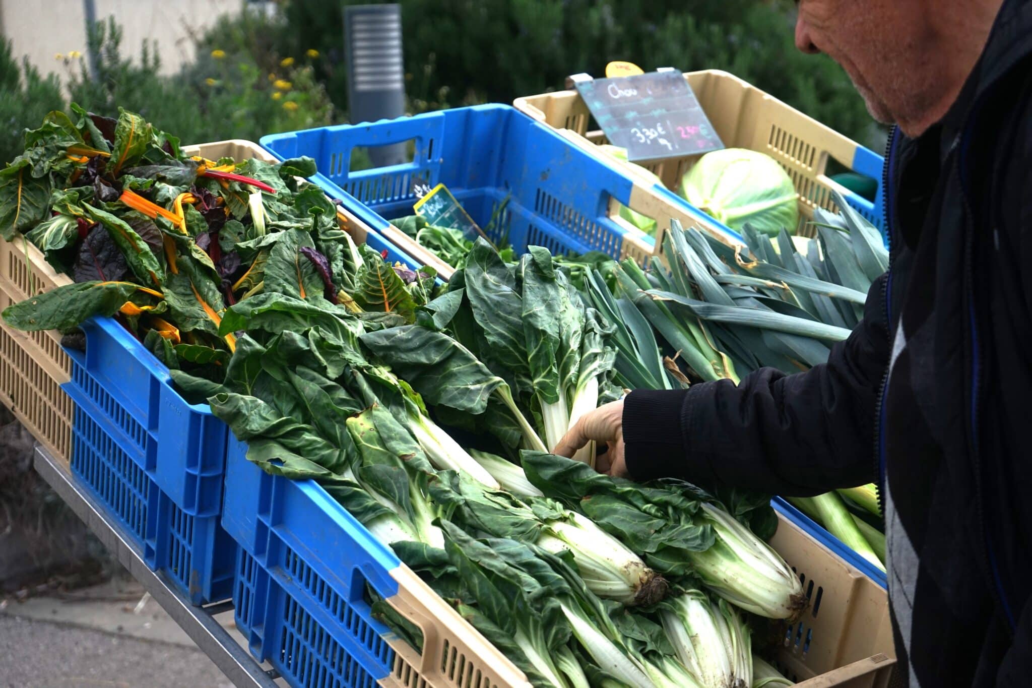 halles de producteurs
