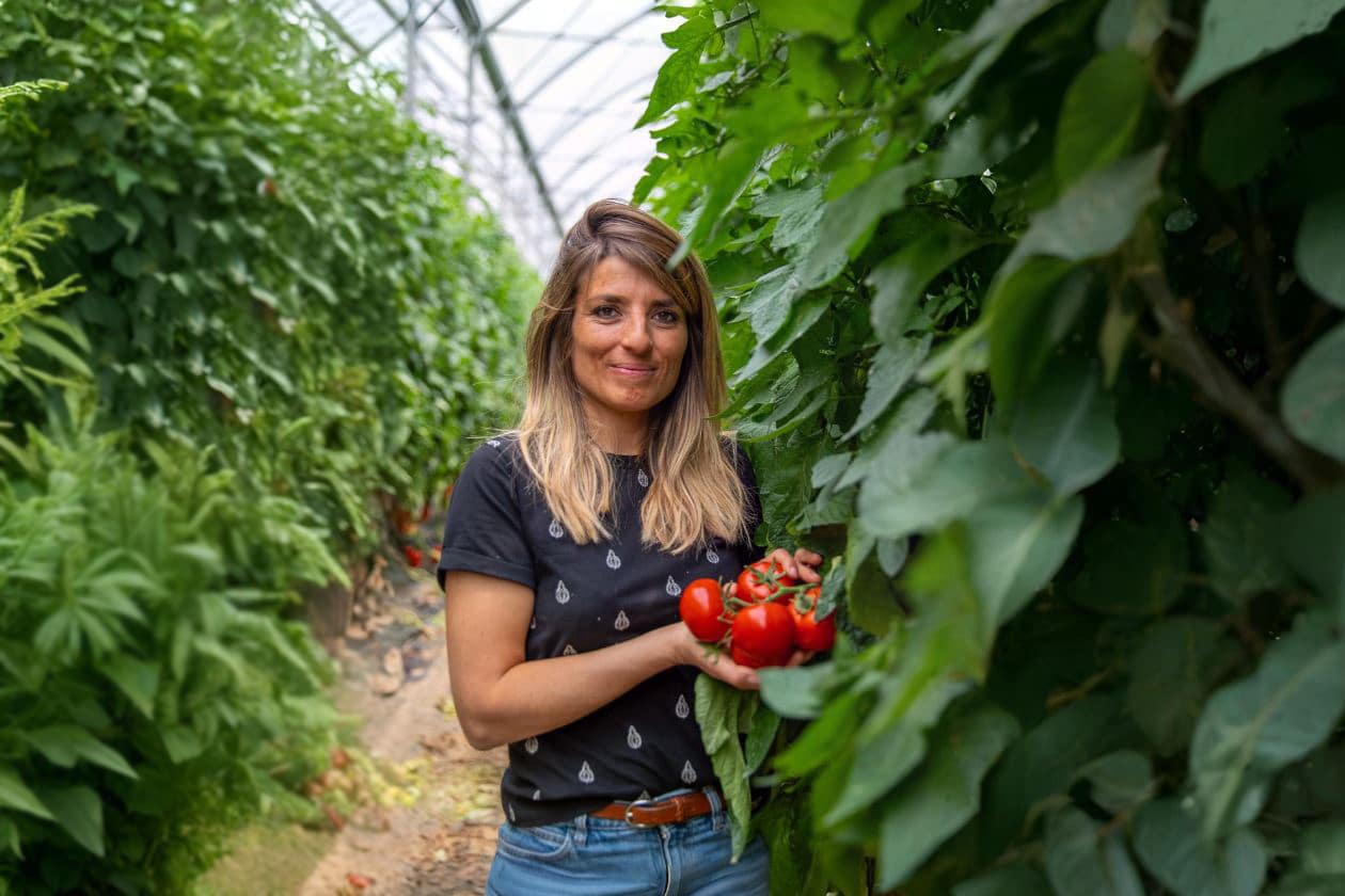 Camille Rabattu Graveson tomates Saint-Rémy