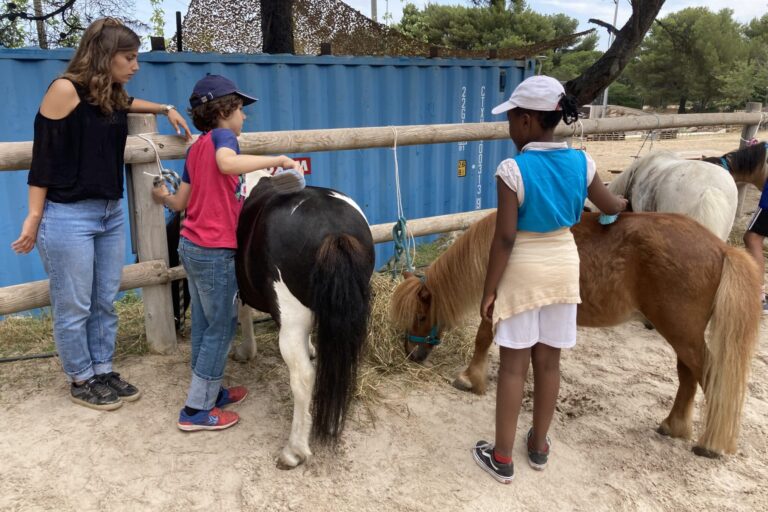 L’équitation comme levier d’inclusion pour des élèves marseillais en situation de handicap