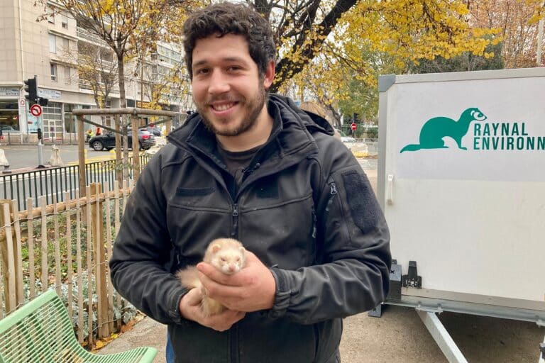 Vidéo | Marseille part à la chasse aux rats avec l&rsquo;aide de furets