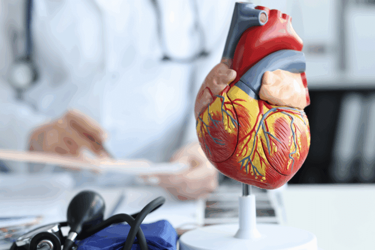 À Marseille, une start-up travaille sur un médicament pour réparer le cœur