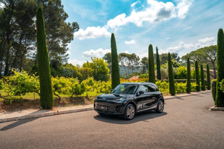 Le marché automobile face au boom des véhicules hybrides et électriques