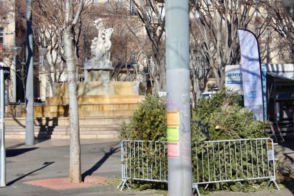 Dépôt de sapins_place Stalingrad_janvier 2022