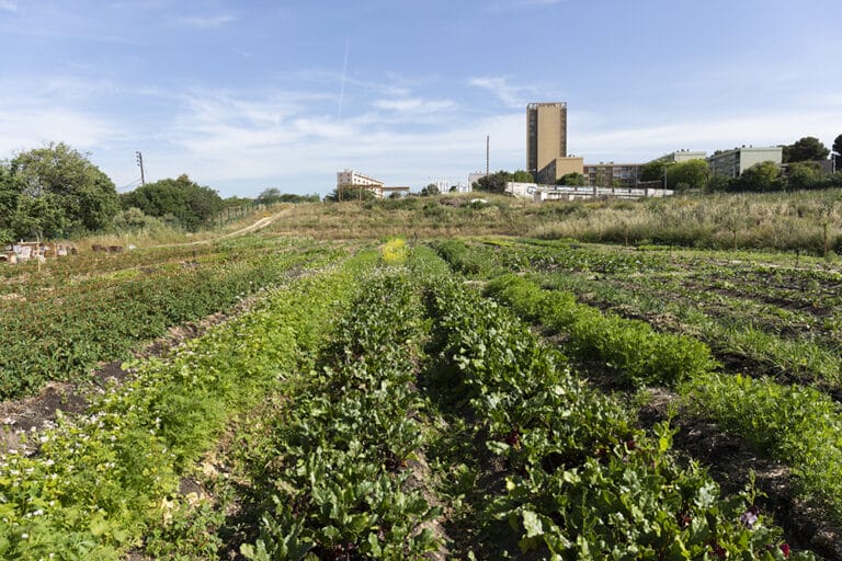 Ferme Capri dans le 15e Marseille. Mais