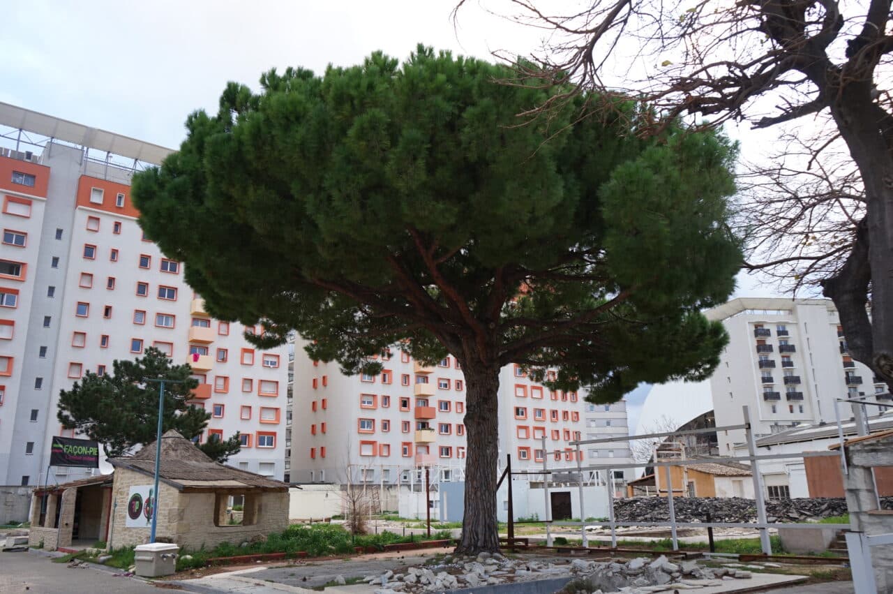 Chanot, En images | Arbres, basket, parcours v&eacute;lo… le parc Chanot se transforme, Made in Marseille