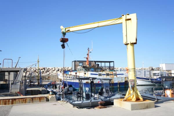 Grue INPP