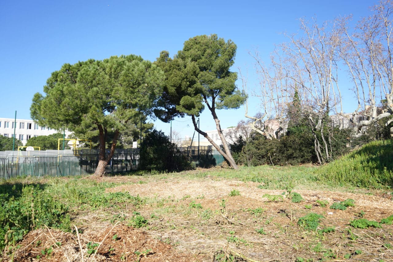 sant&eacute;, Des jeunes m&eacute;decins relancent une offre de sant&eacute; dans une bastide des quartiers Nord, Made in Marseille