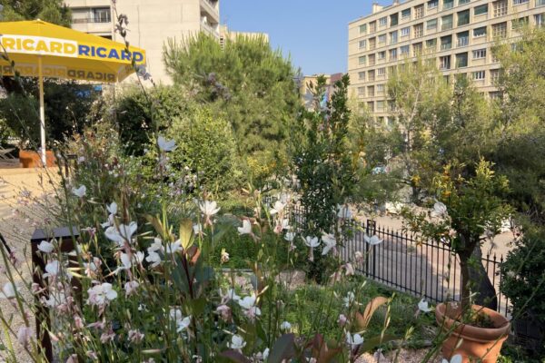 jardin, Un jardin m&eacute;diterran&eacute;en ouvre ses portes &agrave; l&rsquo;h&ocirc;tel InterContinental, Made in Marseille