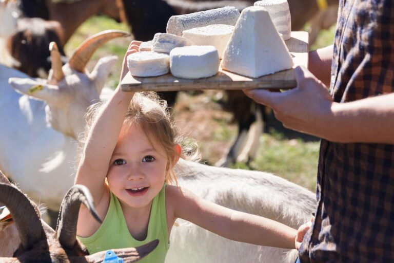 Avec le festival Brin de culture, les agriculteurs cultivent l&rsquo;agritourisme dans la région