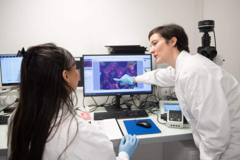 Comment Marseille s’organise pour devenir la capitale mondiale de l’immunologie