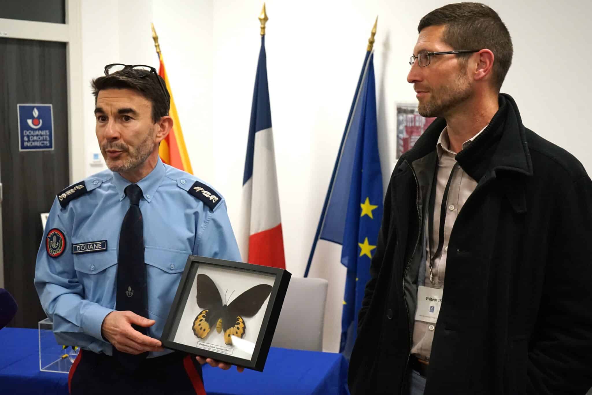 une saisie de papillons par les douanes de marseille