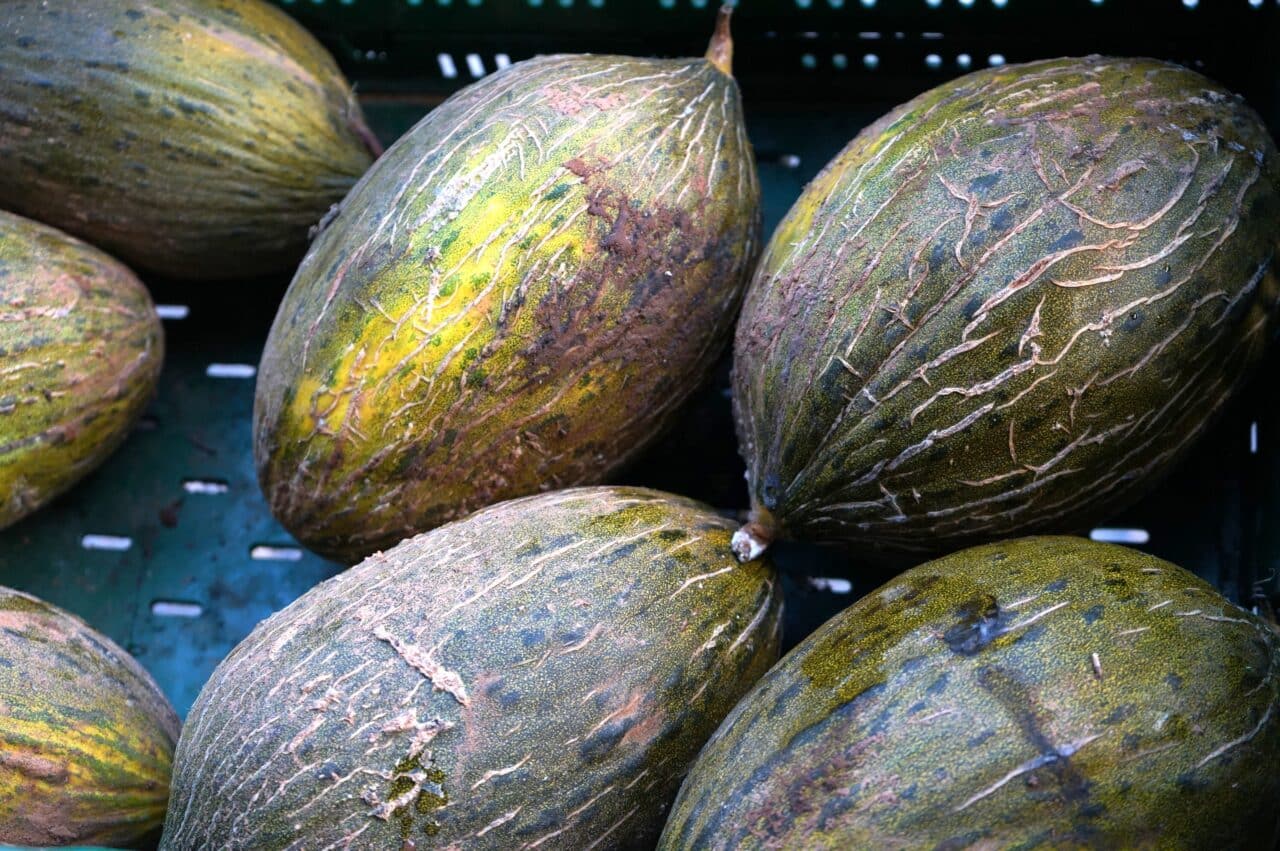 paniers marseillais, Les Paniers marseillais bio et locaux nourrissent les Marseillais depuis pr&egrave;s de 20 ans, Made in Marseille