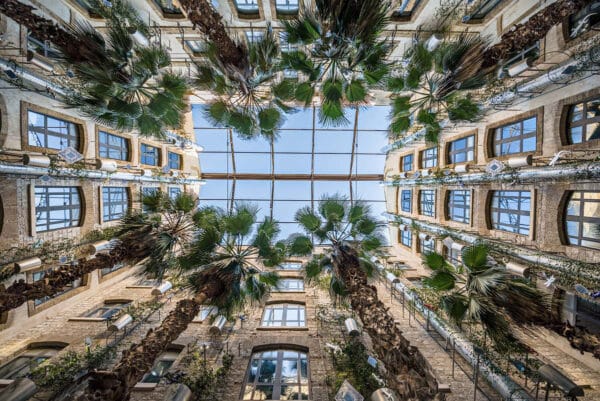 Les-Docks-Village-Cour
