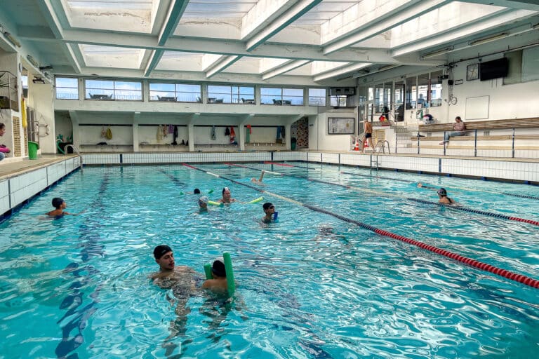 natation club dauphins