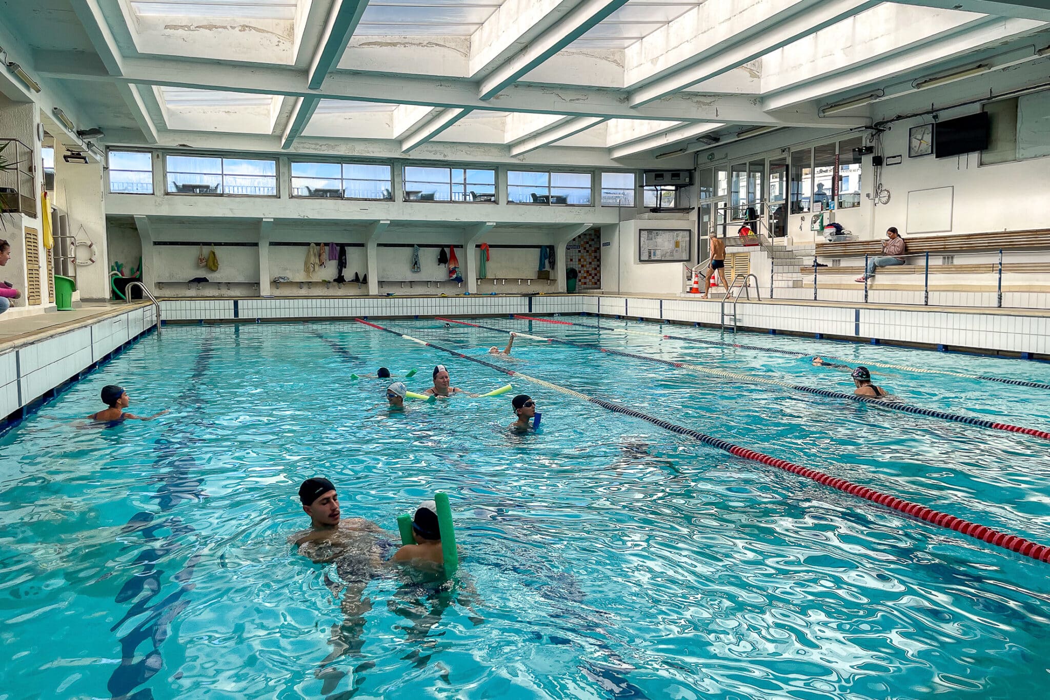 natation club dauphins
