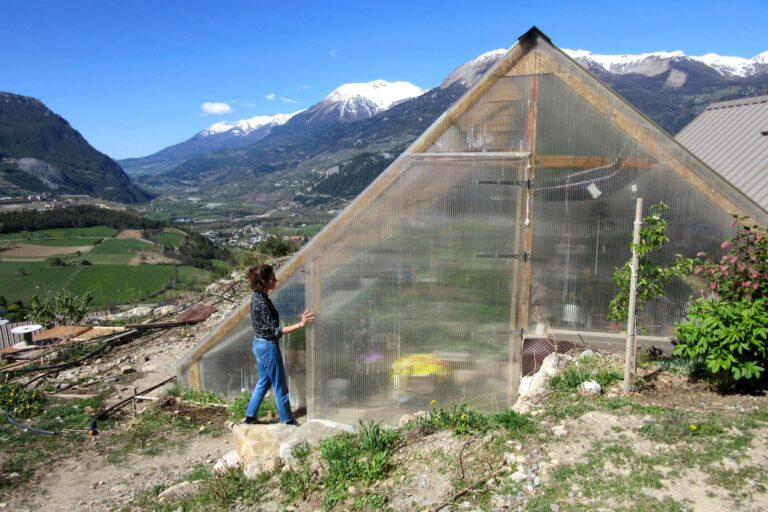 L’essor des serres bioclimatiques, une solution durable pour les agriculteurs de la région