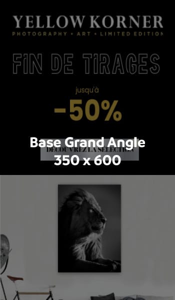 SiteMIM-Pub-GrdAngle350x600