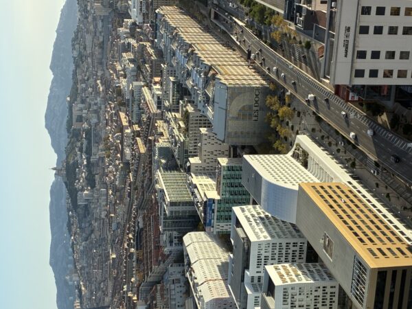 Sky_center_vue_marseille_hauteur_docks