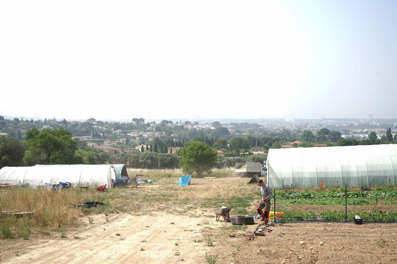 B&eacute;theline, &Agrave; Marseille, les agriculteurs cultivent le nouveau tiers-lieu de la B&eacute;theline, Made in Marseille