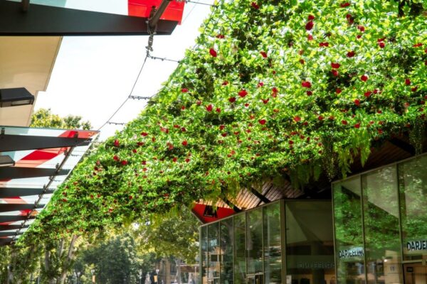 Aix, Un artiste marseillais imagine un toit v&eacute;g&eacute;tal en &laquo; fleurs &raquo; upcycl&eacute;es &agrave; Aix, Made in Marseille