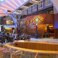 allure-of-the-seas-bar-restaurant-croisiere