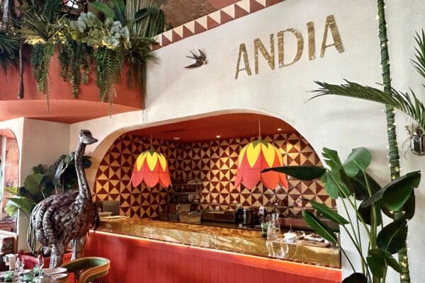 andia-groupe-moma-restaurant-voutes-major-14
