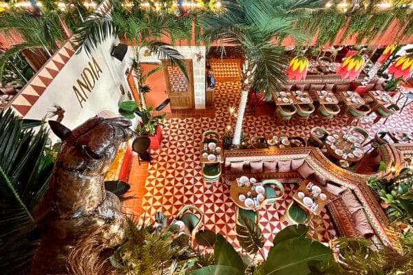 andia-groupe-moma-restaurant-voutes-major-7