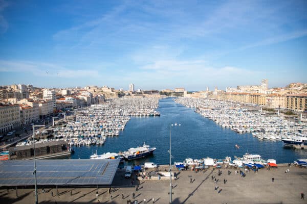 apiculteur-ruches-vieux-port-26