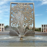 arbre-esperance-parc-26-centenaire