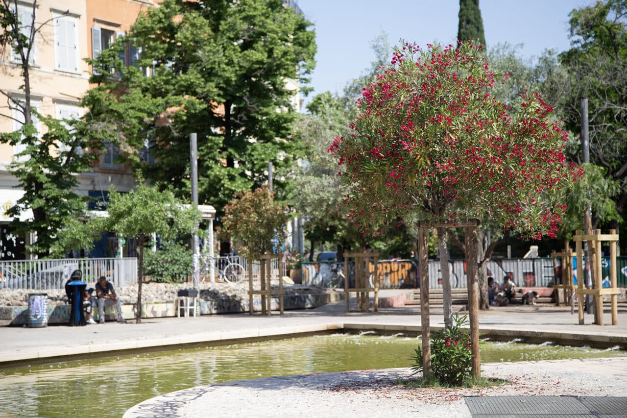 arbres cours julien, Photos | Vingt nouveaux arbres ont &eacute;t&eacute; plant&eacute;s au cours Julien, Made in Marseille