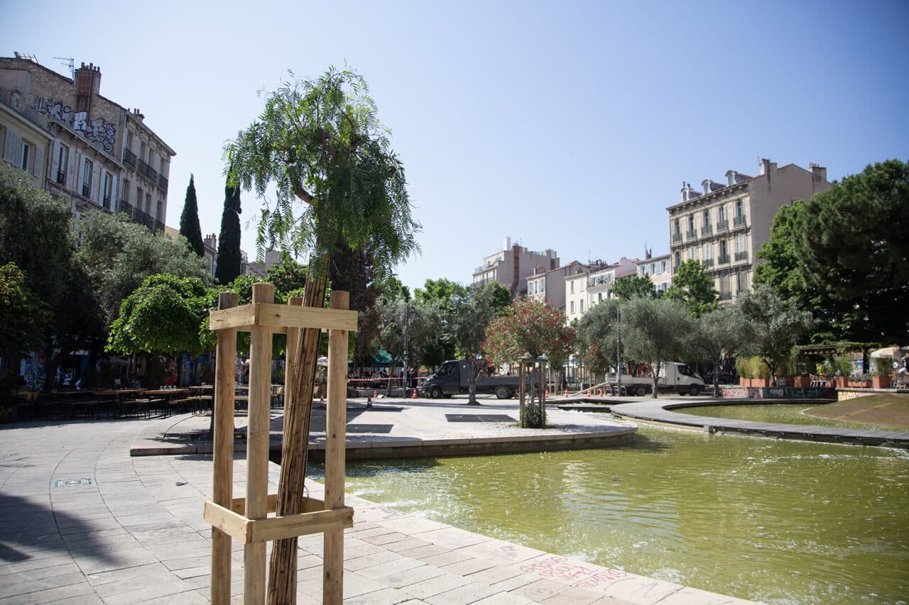 arbres cours julien, Photos | Vingt nouveaux arbres ont &eacute;t&eacute; plant&eacute;s au cours Julien, Made in Marseille
