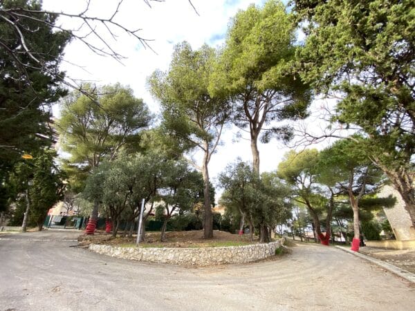 arbres-parc-comerie-marseille-travaux