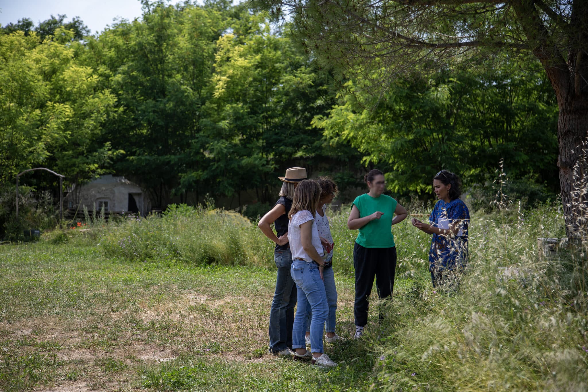 verrerie arles vert2mains