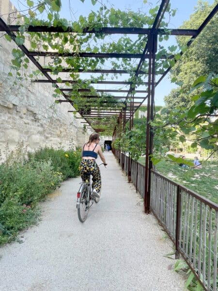 balade-velo-cite-palais-pape-avignon