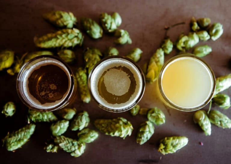 Les brasseurs locaux misent sur le développement du houblon bio en circuit-court