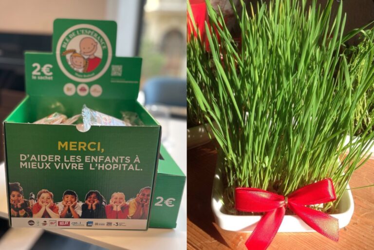 Le blé de l&rsquo;espérance à la Sainte-Barbe, un espoir pour les enfants malades