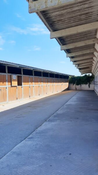 box-ecurie-hippodrome-borely