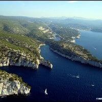 calanque-port-miou-pin-cassis