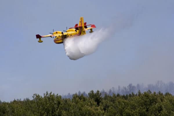 canadair-incendie-feu