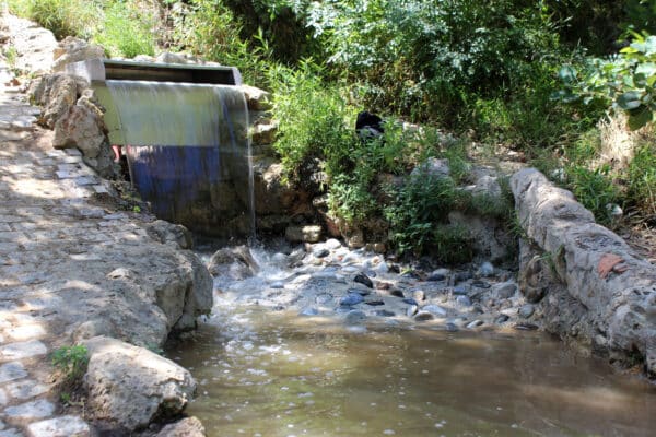 cascade-longchamp-riviere-ruisseau-canal-eau-ete-11